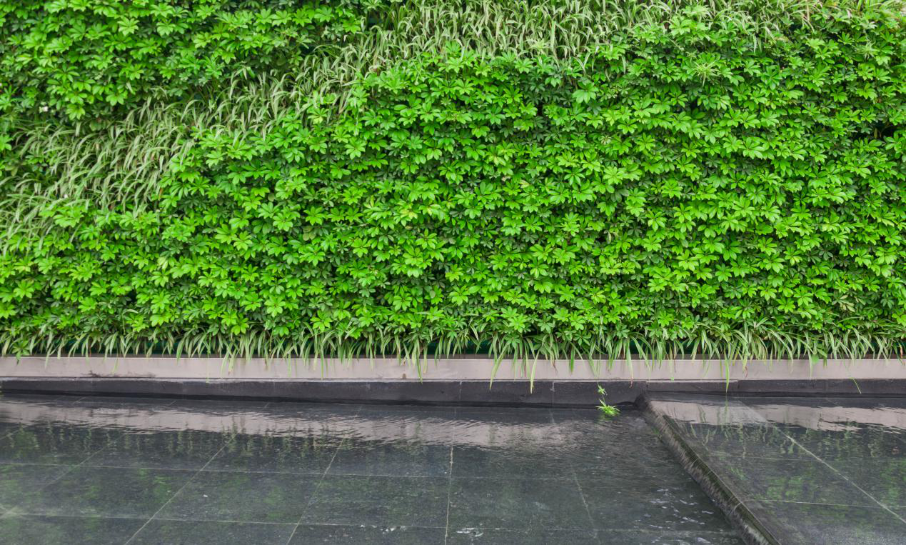 圖片4.png 圖片4.png