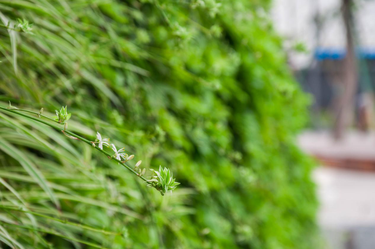 圖片6.png 圖片6.png