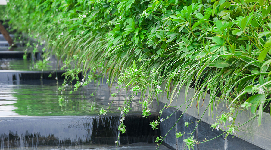 圖片5.png 圖片5.png